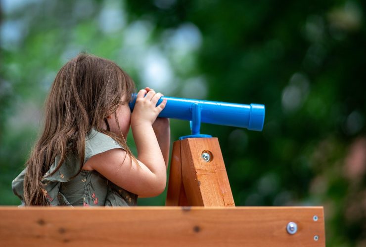 Top Picks for Astrographers: Best Reflector Telescopes for Astrophotography